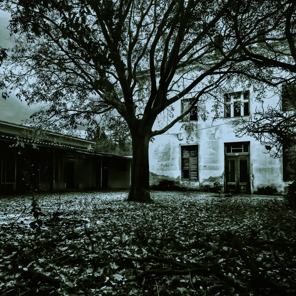 Abandoned Horror House